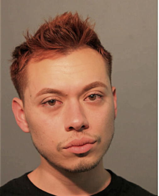 STEVE DE LA TORRE, Cook County, Illinois