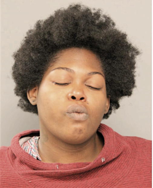 ADESHOLA LAWAL, Cook County, Illinois
