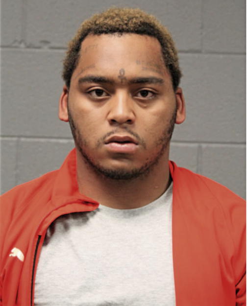 DERRIS D LEBLANC, Cook County, Illinois