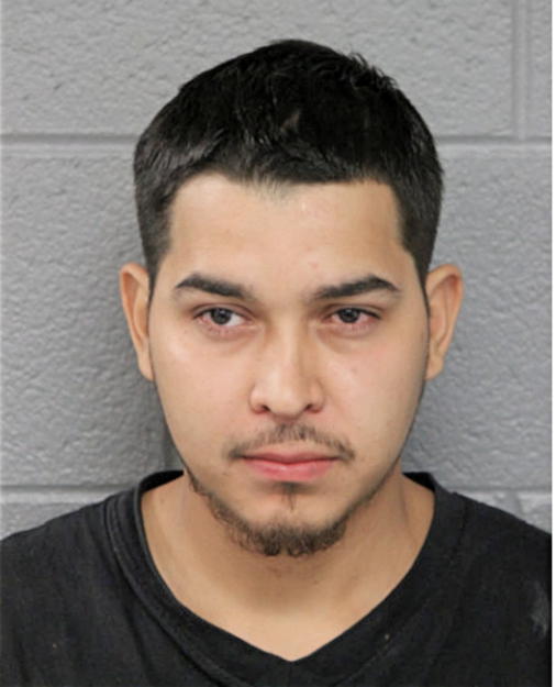 SERGIO JAVIER LOPEZ-LARIOZ, Cook County, Illinois
