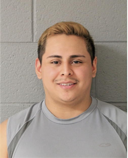 MARIO A MARTINEZ, Cook County, Illinois