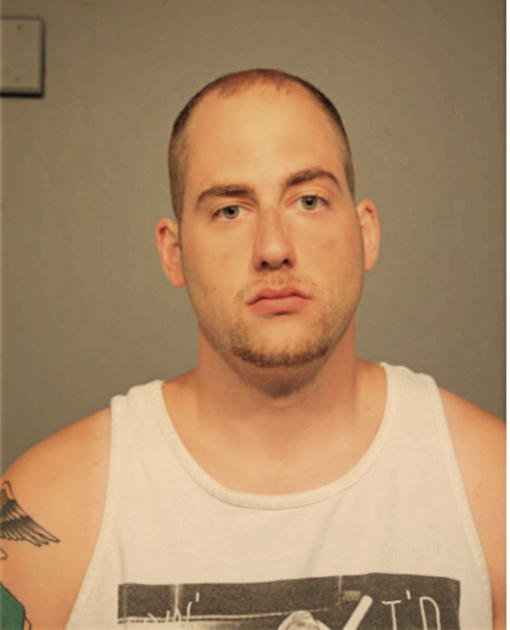 MICHAEL J MCCALL, Cook County, Illinois