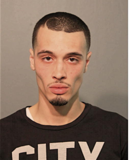 ANFERNEE J ONEAL, Cook County, Illinois