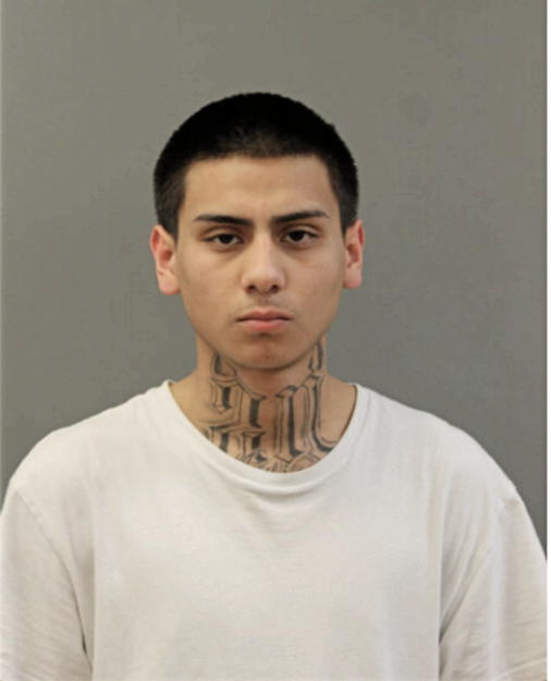EDGAR M ORTEGA, Cook County, Illinois