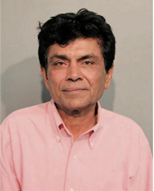 SAMUEL PARMAR, Cook County, Illinois