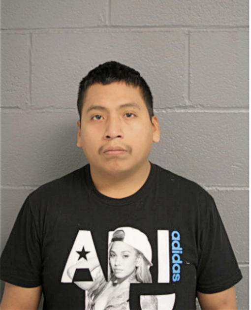 WILLIAM PINEDA, Cook County, Illinois