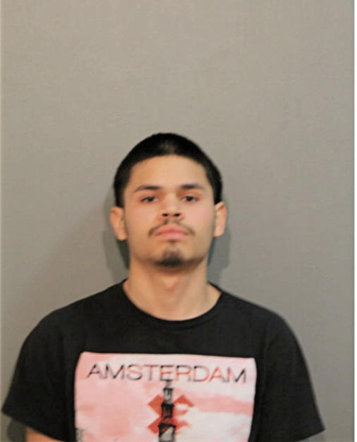 MANUEL J QUINONES, Cook County, Illinois
