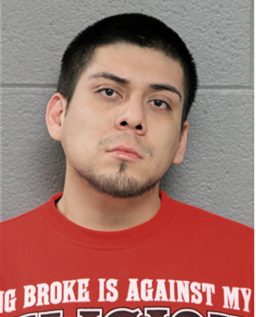 LUIS J REYES, Cook County, Illinois