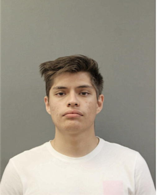 ARCEO RIGOBERTO, Cook County, Illinois