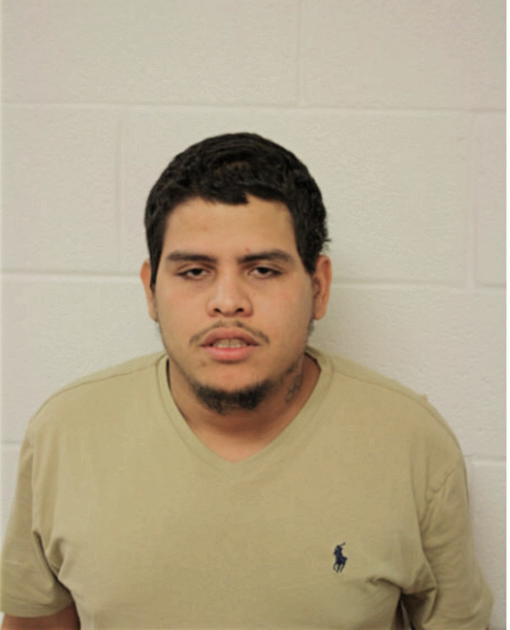 ALFONZO RIVERA-BONETTA, Cook County, Illinois