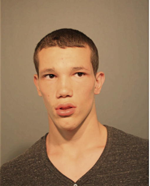 DEONTA L SANCHEZ, Cook County, Illinois