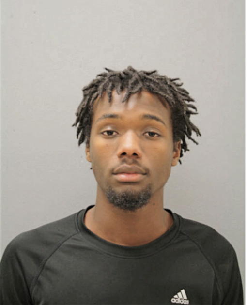 RYAN R SMITH, Cook County, Illinois
