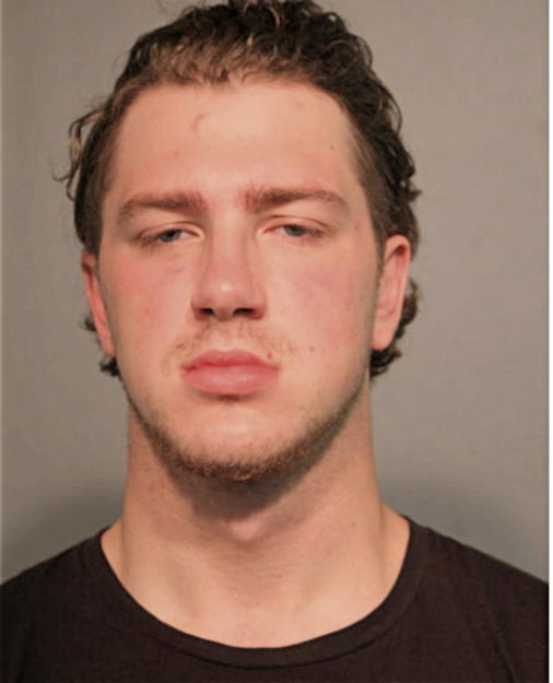 ROSS M SWEDOWSKI, Cook County, Illinois