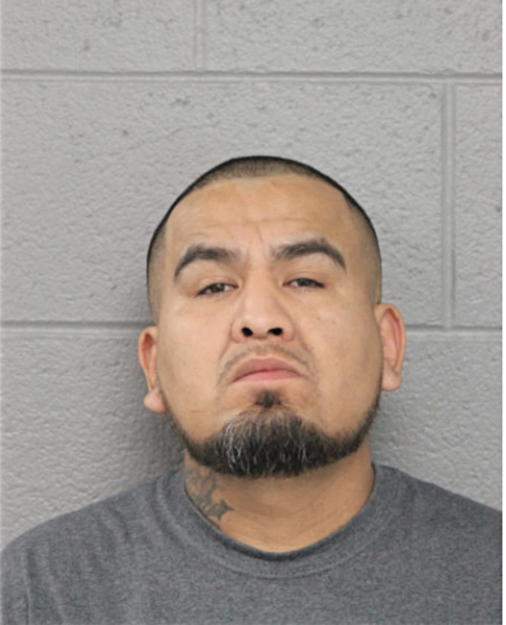 HUGO TORRES, Cook County, Illinois