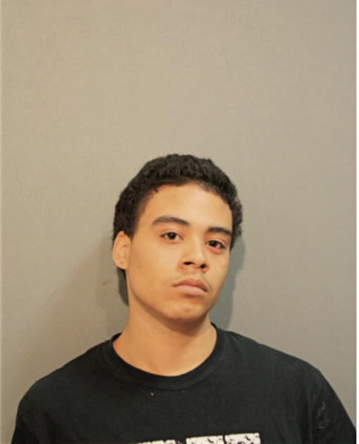 HOSEA D WOODSON, Cook County, Illinois