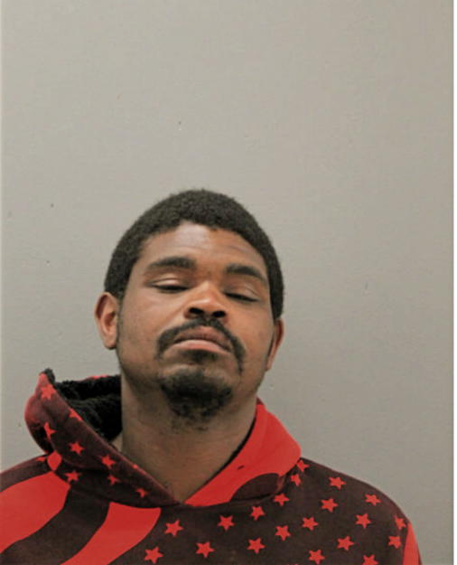 RACHIDE T ANDERSON, Cook County, Illinois