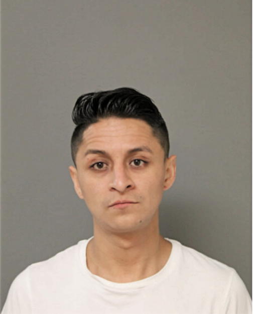 ALEX B ARGUDO, Cook County, Illinois
