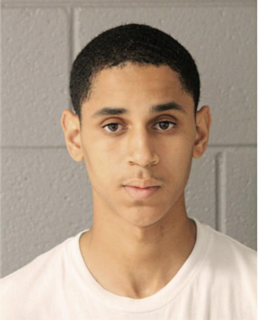 EMANUEL K BARNES, Cook County, Illinois