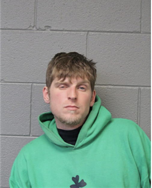 MICHAEL A BREZENE, Cook County, Illinois