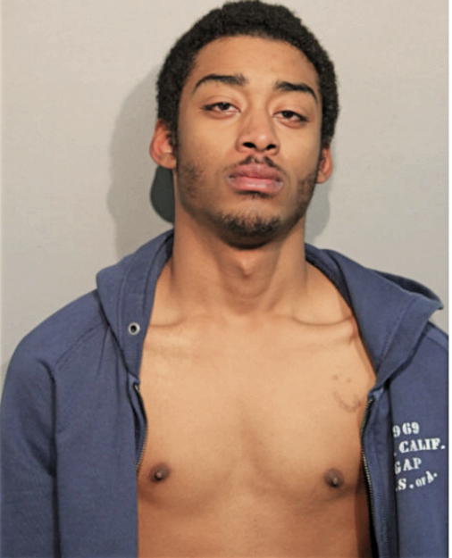 BRANDON J DAVIS, Cook County, Illinois