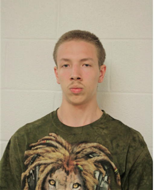 DANIEL W ELLIS, Cook County, Illinois