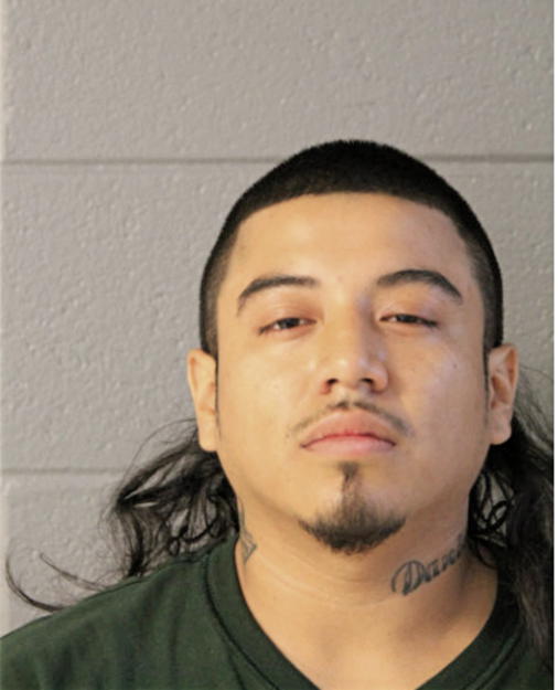 BRIAN ENRIQUEZ, Cook County, Illinois