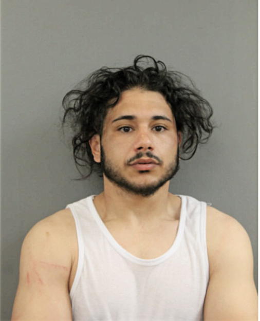 MICHAEL GEIGEL, Cook County, Illinois