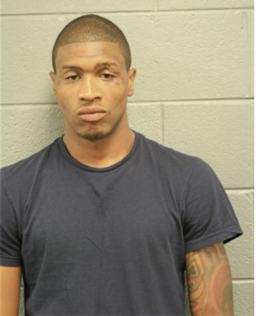 TIMOTHY A HOGAN, Cook County, Illinois