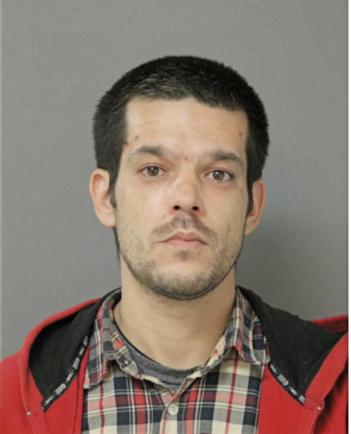 VLADIMIR KOSTOV, Cook County, Illinois