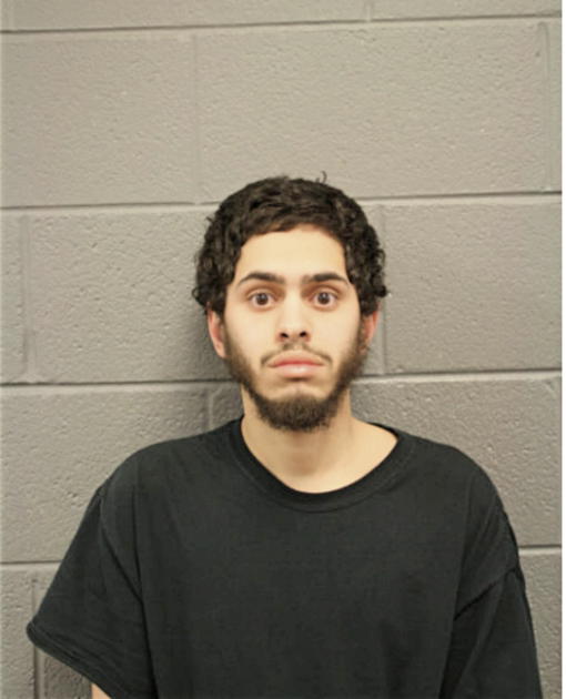 LUIS J LOPEZ, Cook County, Illinois