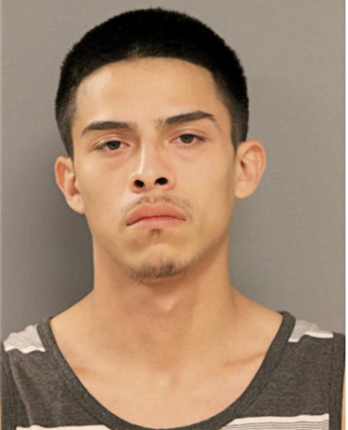 AGUSTIN MARTIN, Cook County, Illinois