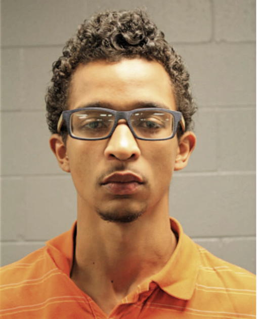 JOSHUA L MARTINEZ, Cook County, Illinois