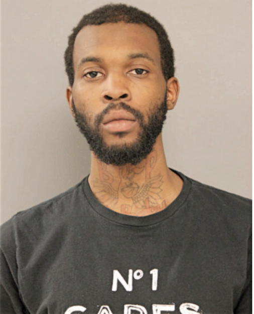 CHRISTOPHER D PALMER, Cook County, Illinois