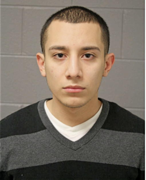 BERTIN PEREZ, Cook County, Illinois