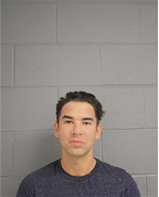 STANLEY E SAMSON, Cook County, Illinois
