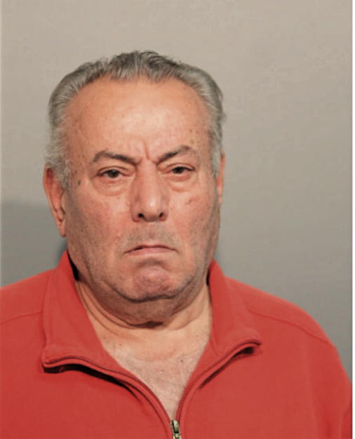 JOSEPH S SARO, Cook County, Illinois