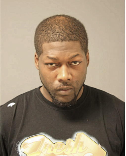 RYAN D SOLOMAN, Cook County, Illinois
