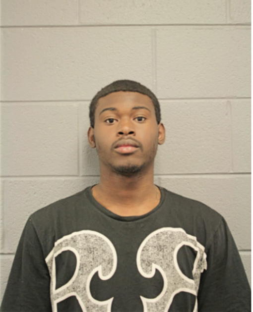 ANDRE J STEPHENS, Cook County, Illinois
