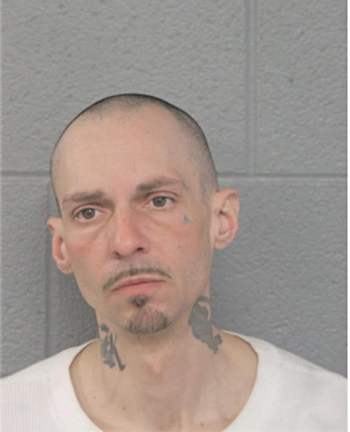 MICHAEL J WAGNER, Cook County, Illinois