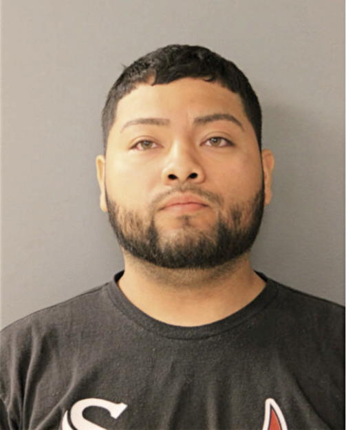 JULIO BALBUENA, Cook County, Illinois