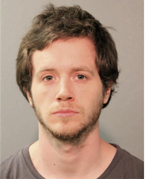 ADAM MICHAEL BORG, Cook County, Illinois