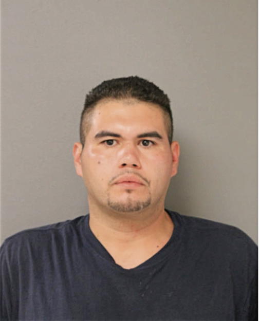ANTHONY S CASTANEDA, Cook County, Illinois