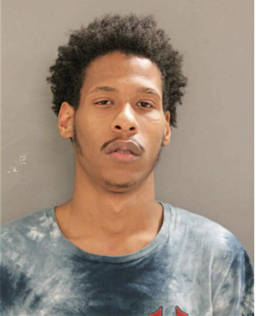 ROBERT A COWAN, Cook County, Illinois