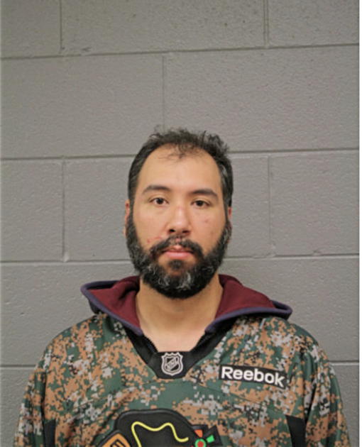 JOHN W FLEMING, Cook County, Illinois