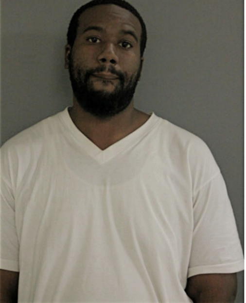 THEODUS R HODGES, Cook County, Illinois