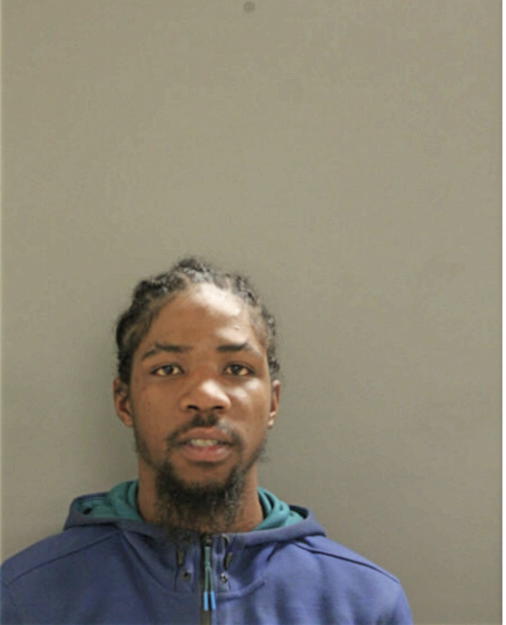 SAMUEL P HOLMES, Cook County, Illinois