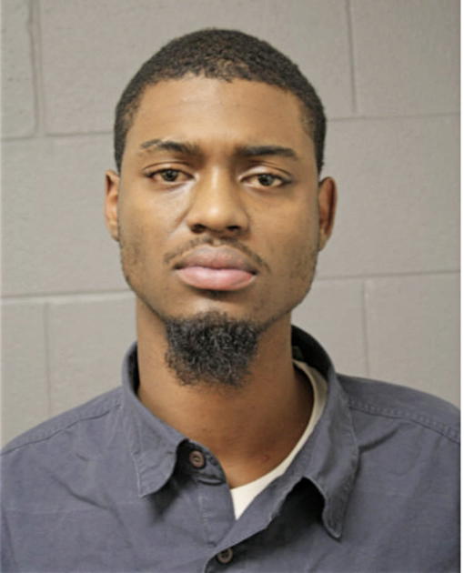 LYDELL L HUGHES, Cook County, Illinois
