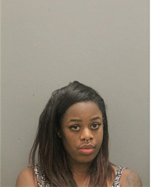 BRIANNA N IRVING, Cook County, Illinois