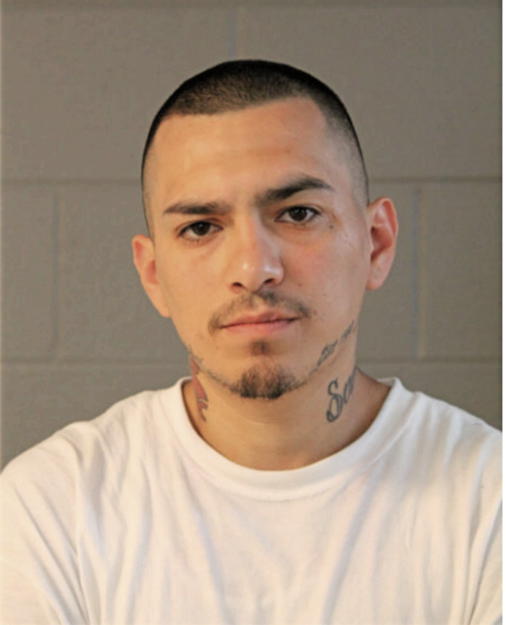 ENRIQUE NAPOLES, Cook County, Illinois