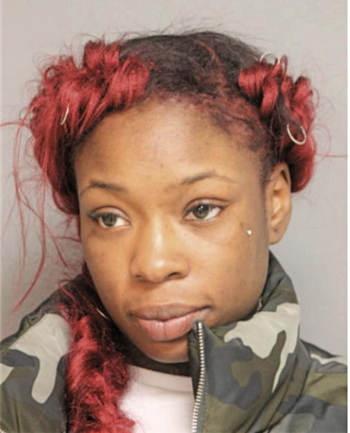 JAZMINE J NOONER, Cook County, Illinois